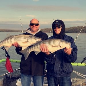 Meet your Posher, Josh